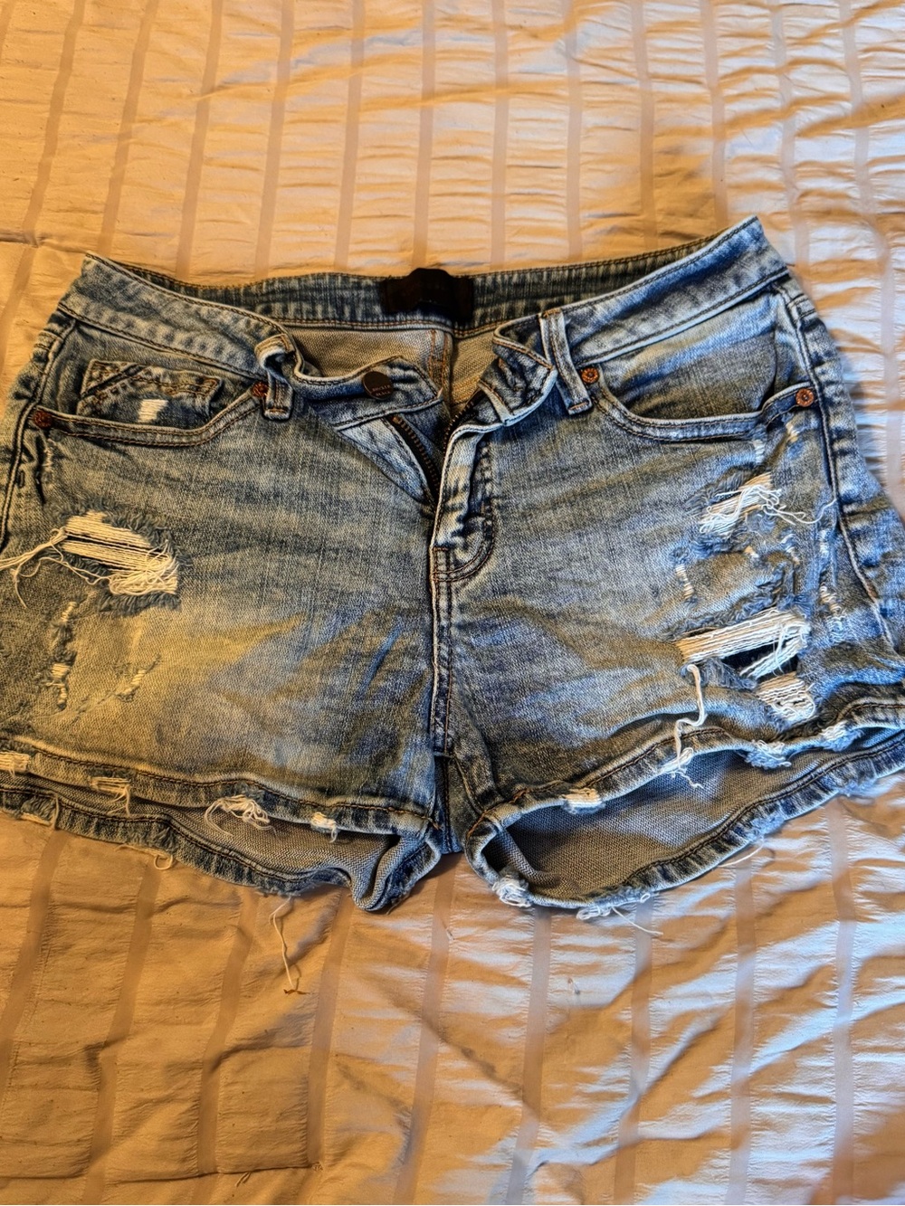 Buckle Black Distressed Light Blue Denim Women’s Shorts